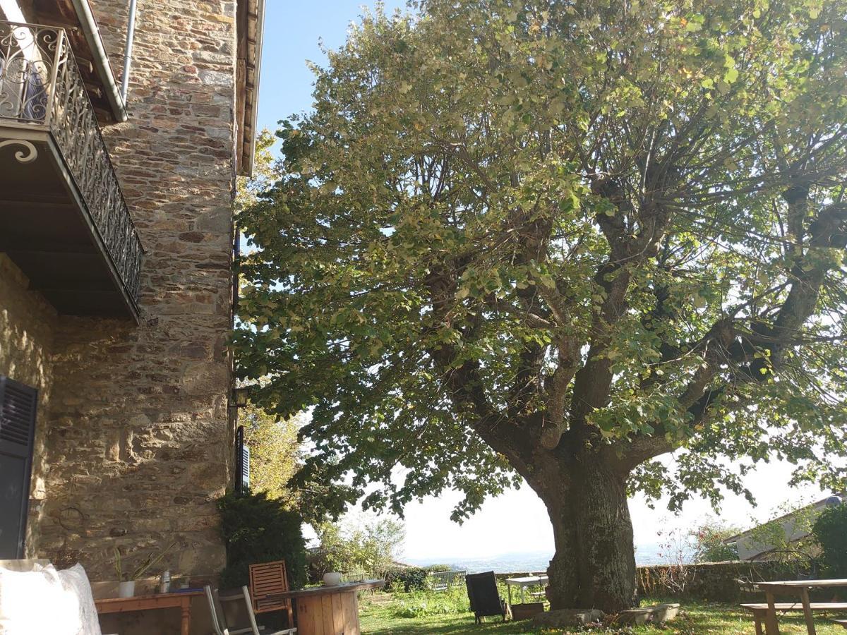 Chateau De Riverie Chambres Et Table D'Hotes Экстерьер фото