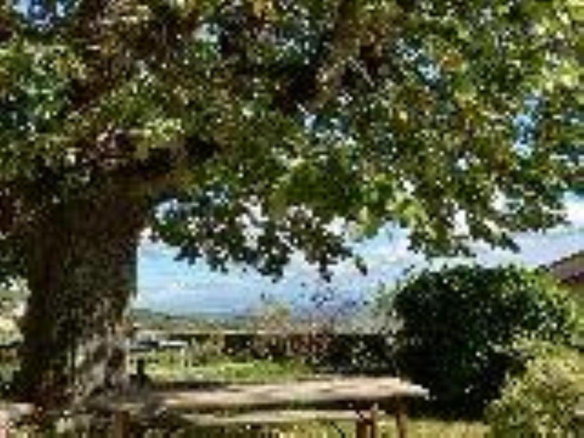 Chateau De Riverie Chambres Et Table D'Hotes Экстерьер фото