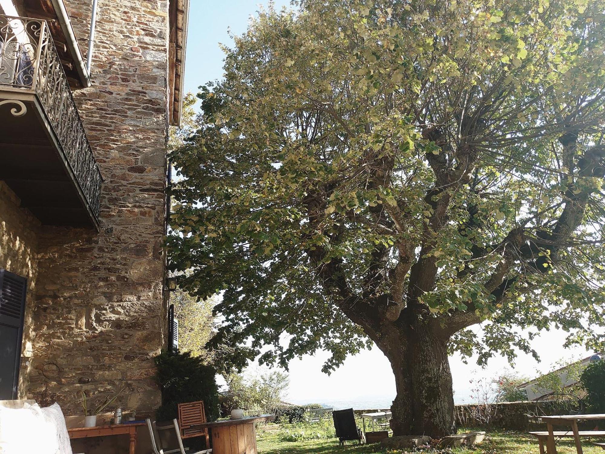 Chateau De Riverie Chambres Et Table D'Hotes Экстерьер фото
